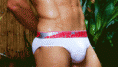 /album/galeria-de-fotos-fotos/a10-gif/